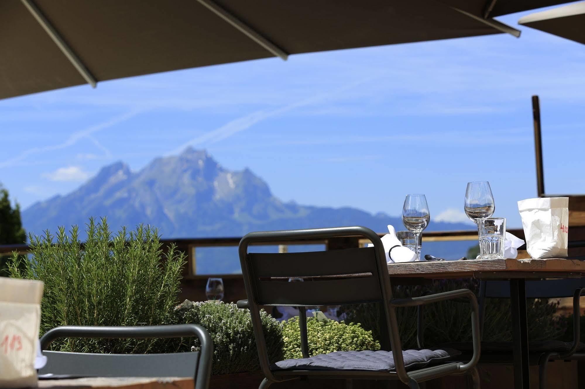 Alpenblick Weggis - Panorama & Alpen Chic Hotel Bagian luar foto
